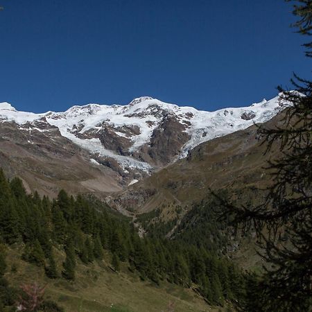Hotel De Gletscher Gressoney-la-Trinité Exterior foto